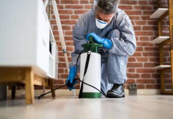 Revolutionizing Pest Control: Exploring the Latest Technological Advancements and Emerging Technologies