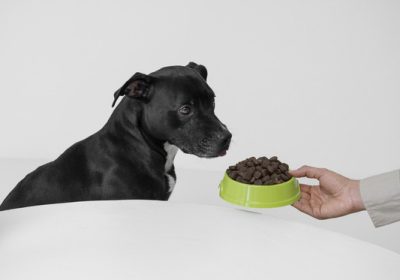 The Dog Podcast Uncovers Startling Truths About What We Feed Our Dogs [Press Release]